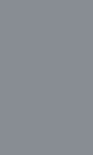 Blackout Pitch Silver Motorised Day and Night Blind