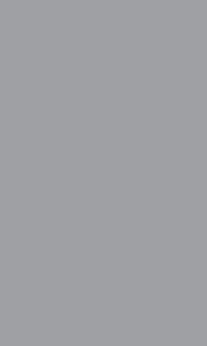 Dimout Rome Silver Day and Night Blind