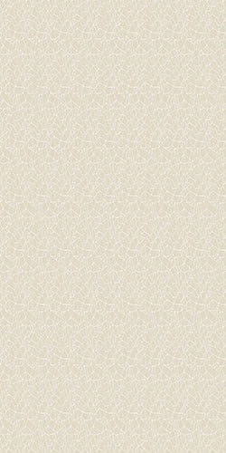 Zinnia B/O Cream - QuickFit No Drill Roller Blinds