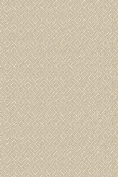 PARKER CHAMPAGNE – ROMAN BLIND