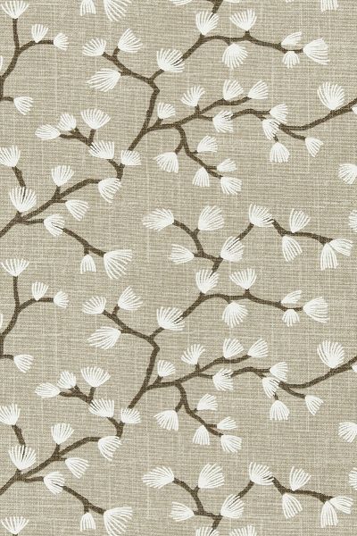 PASCOE TAUPE – ROMAN BLIND