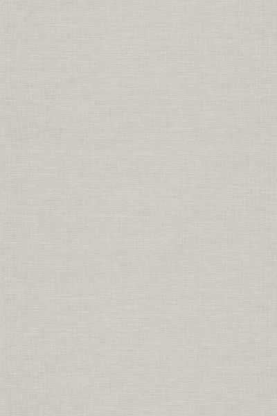 PIPPIN OYSTER – ROMAN BLIND