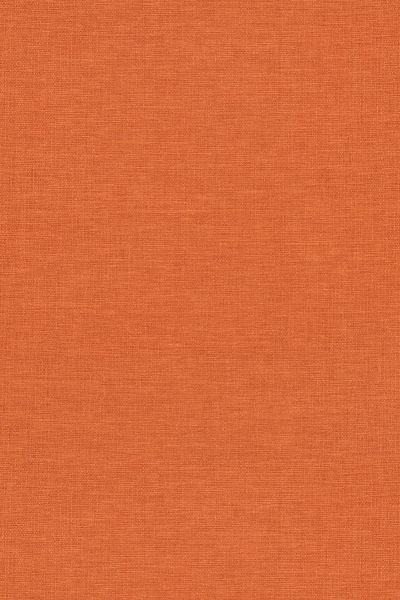 PIPPIN PAPRIKA – ROMAN BLIND