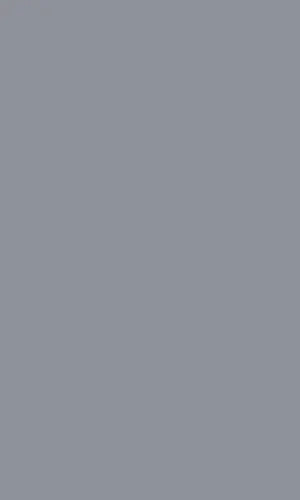Tokyo Grey Motorised Day and Night Blind